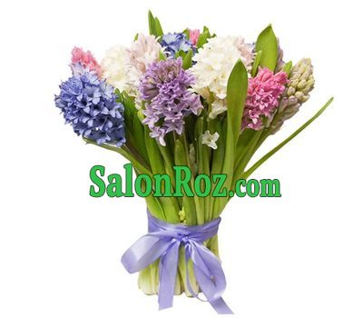 Beautiful bouquet of hyacinths Beautiful bouquet of hyacinths