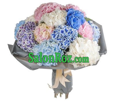 Chic bouquet of hydrangeas Chic bouquet of hydrangeas
