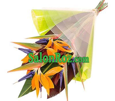 Sunny bouquet of arrows