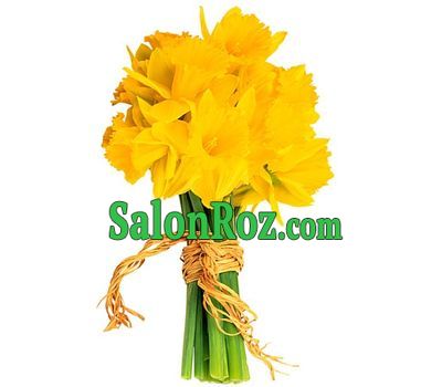 Spring bouquet of daffodils Spring bouquet of daffodils