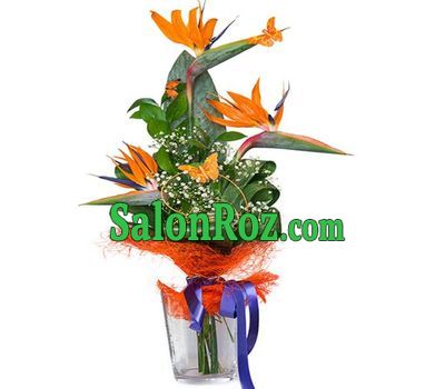 Bright bouquet of arrows