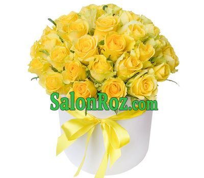 31 yellow rose in a box 31 yellow rose in a box