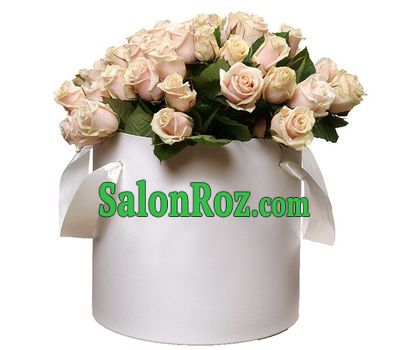 51 cream-colored roses in a round box 51 cream-colored roses in a round box
