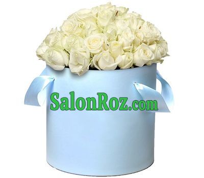 51 white roses in the box 51 white roses in the box
