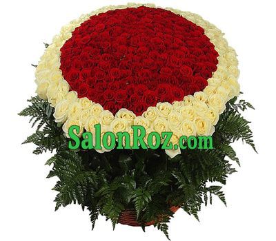 Bouquet of 501 red and white roses Bouquet of 501 red and white roses