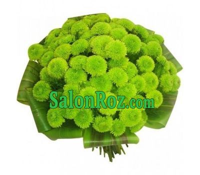 Bouquet of green chrysanthemums Bouquet of green chrysanthemums