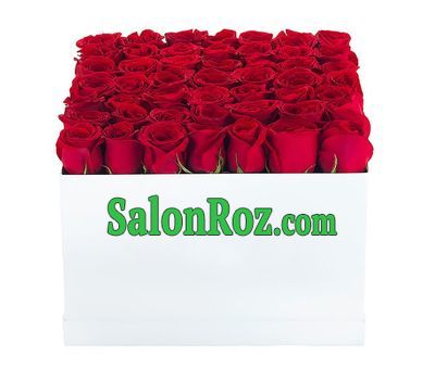 Square box with red roses Square box with red roses