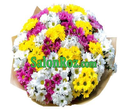 41 multi-colored chrysanthemum 41 multi-colored chrysanthemum