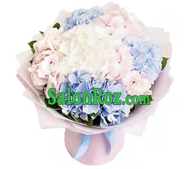 An elegant bouquet of hydrangeas An elegant bouquet of hydrangeas