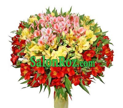 Bouquet of flowers from 55 multi-colored alstromeries Bouquet of flowers from 55 multi-colored alstromeries