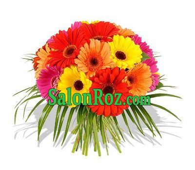 Bouquet of flowers from 45 multi-colored gerberas Bouquet of flowers from 45 multi-colored gerberas