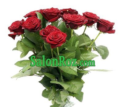 Bouquet of 15 red roses Bouquet of 15 red roses