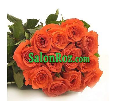Bouquet of 15 orange roses Bouquet of 15 orange roses