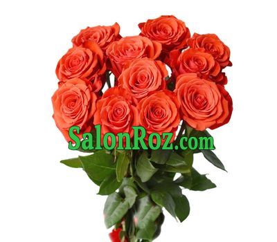 Bouquet of 11 orange roses Bouquet of 11 orange roses