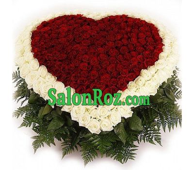Heart of 351 roses Heart of 351 roses