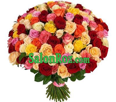 101 rose of different colors 101 rose of different colors