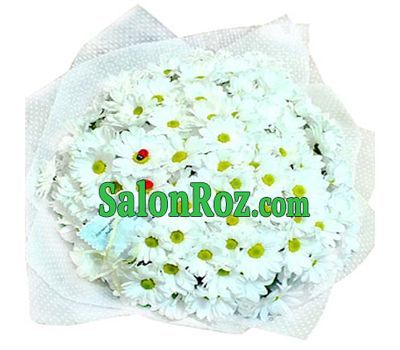 Bouquet of 23 white shrub chrysanthemums Bouquet of 23 white shrub chrysanthemums