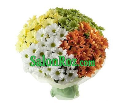 Bouquet of 33 different colored chrysanthemums Bouquet of 33 different colored chrysanthemums