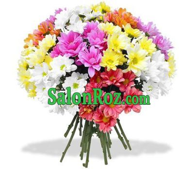 Bouquet of 19 multi-colored chrysanthemums Bouquet of 19 multi-colored chrysanthemums