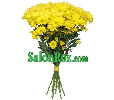 Bouquet of 11 yellow chrysanthemums Bouquet of 11 yellow chrysanthemums
