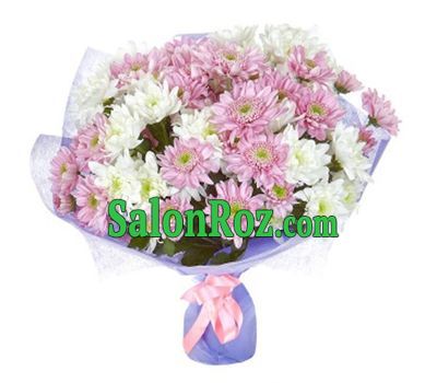 Bouquet of 17 white and pink shrub chrysanthemums Bouquet of 17 white and pink shrub chrysanthemums
