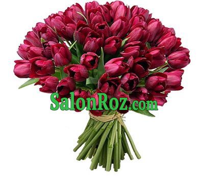 Bouquet of 75 red tulips Bouquet of 75 red tulips