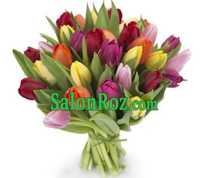 Букет из 29 тюльпанов Букет из 29 тюльпанов