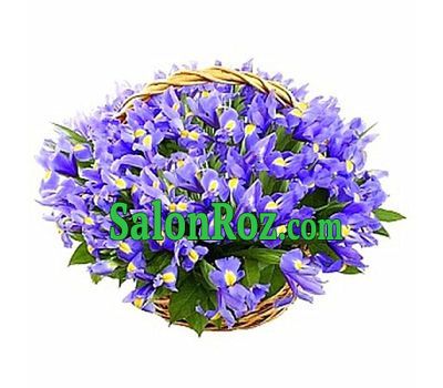Корзина цветов из 101 ириса Корзина цветов из 101 ириса