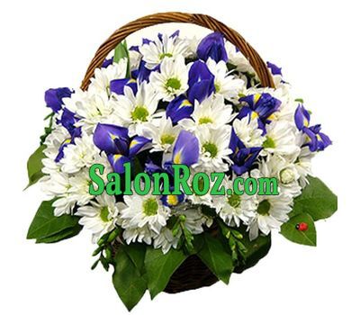 Basket of flowers from 13 chrysanthemums and 6 irises Basket of flowers from 13 chrysanthemums and 6 irises