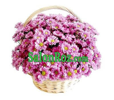 Basket of flowers from 11 branches of a chamomile spray chrysanthemum Basket of flowers from 11 branches of a chamomile spray chrysanthemum