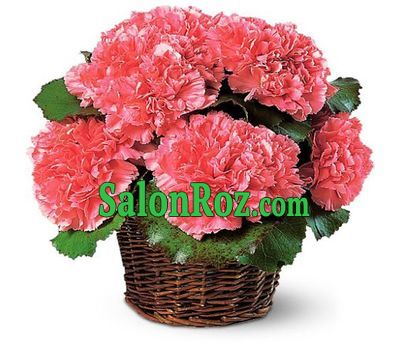 Basket of flowers from 9 red carnations Basket of flowers from 9 red carnations