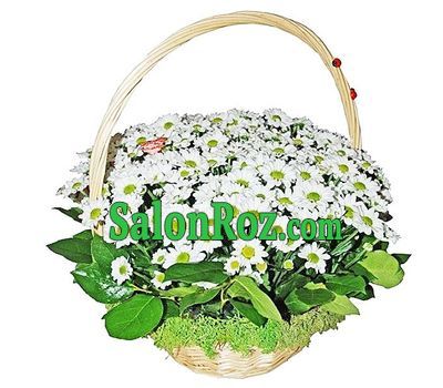 Basket of flowers from 15 white chamomile chrysanthemums Basket of flowers from 15 white chamomile chrysanthemums