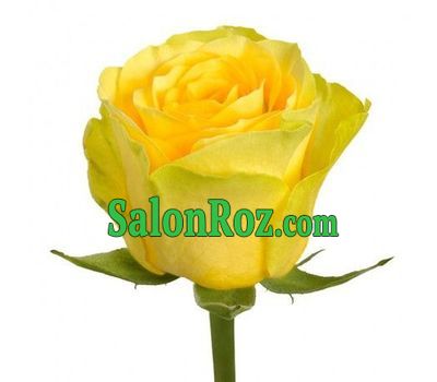 Choose the quantity by clicking on the photo Choose the quantity by clicking on the photo