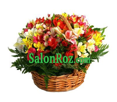 Basket of flowers from 31 multi-colored alstroemerias Basket of flowers from 31 multi-colored alstroemerias